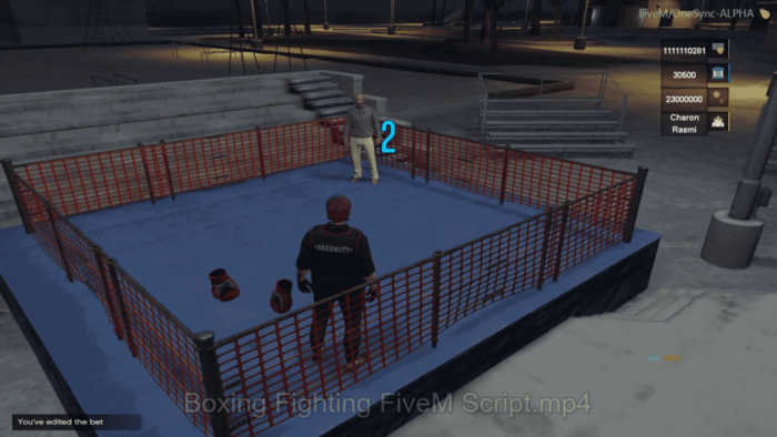 Boxing Fighting + Event