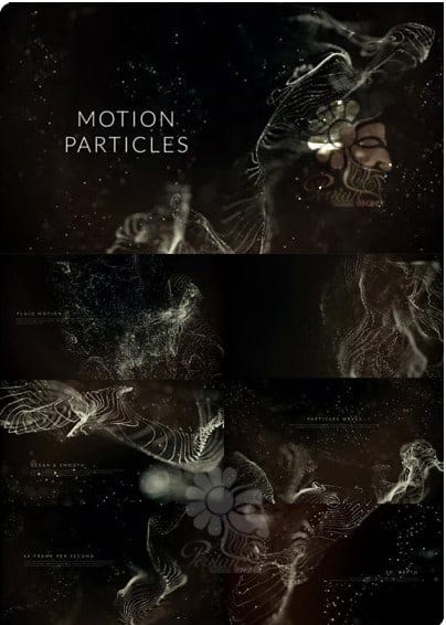 Motion Particles Logo After Effect